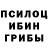 Псилоцибиновые грибы Magic Shrooms Henry Preminger