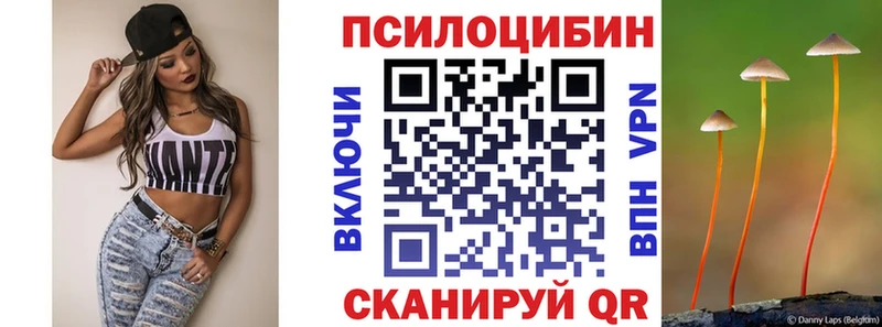 Псилоцибиновые грибы Cubensis закладки гидра сайт Апрелевка